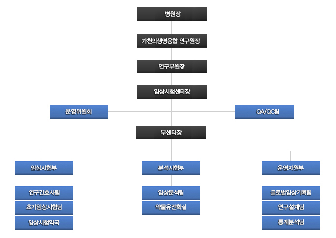 임상시험센터 조직도